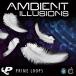 PRIME LOOPS AMBIENT ILLUSIONS(����饤��Ǽ��)(2���ְ����Ǽ��)