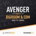 LOOPMASTERS [ петля тормозные колодки z Hori te- распродажа!]BIGROOM &amp; EDM AVENGER PRESETS( online поставка товара )(2 часов в течение поставка товара )