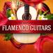 ORGANIC LOOPS FLAMENCO GUITARS(饤Ǽ)(2ְǼ)