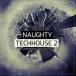 DELECTABLE RECORDS NAUGHTY TECH HOUSE 2(����饤��Ǽ��)(2���ְ����Ǽ��)