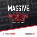LOOPMASTERS [ петля тормозные колодки z Hori te- распродажа!]PW99 ANTHEM HOUSE &amp; TRANCE MASSIVE PRESETS( online поставка товара )(2 часов в течение поставка товара )