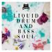 RANKIN AUDIO LIQUID DRUM AND BASS SOUL(����饤��Ǽ��)(2���ְ����Ǽ��)