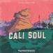 PRODUCTION MASTER CALI SOUL - LOFI CHILL & SOULFUL BEATS(����饤��Ǽ��)(2���ְ����Ǽ��)
