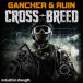 INDUSTRIAL STRENGTH �ڥ롼�ץޥ��������ۥ�ǡ������롪��GANCHER & RUIN CROSSBREED(����饤��Ǽ��)(2���ְ����Ǽ��)