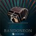 Engine Audio ACCORDIONS 2 - BANDONEON( online поставка товара )(2 часов в течение поставка товара )