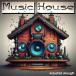 INDUSTRIAL STRENGTH Music House ( house )( Classic house )(UK house )( образец упаковка )( online поставка товара )(2 часов в течение поставка товара )