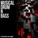 INDUSTRIAL STRENGTH Musical Drum N Bass ( барабан n основа )( hip-hop )( break s)( образец упаковка )( online поставка товара )(2 часов в течение поставка товара )
