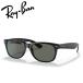  RayBan солнцезащитные очки новый Wayfarer Classic Ray-Ban RB2132F 901/58 58 18 поляризирующая линза Япония стандартный товар 