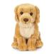 Living Nature Golden Retriever Stuffed Animals Plush Toy | Fluffy Dog Animal | Soft Toy Gift for Kids | Boys and Girls Stuffed Doll | 8 inches