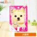  fantasy world ID Capsule dog cat for ( identification tag * name tag ) *.1 person sama 10 piece limit (70033)