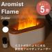 e отсутствует Aromist Flamearo Mist рама AMF23[Elaice aroma Mist рама дизайн смешанные товары увлажнитель арома-диффузор LED свет aroma ]*
