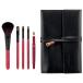 Takeda Brush �F�쉻�ϕM �X�^�[�^�[�Z�b�g �u���V�P�[�X�t