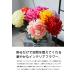 �t�F�C�N�t�����[ �_���A�� ���� �C���e���A 1�{ �J�t�F���E���[���֕s�� �֘A�摜1