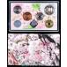  эпоха Heisei 22 год [ столица .] 2010 год деньги комплект Sakura. в соответствии выпадение 