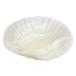  международный ..mellina MISTY mellina Misty ракушка тарелка маленький натуральный M317 NL