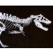[ ограничение переиздание ] рука .tarubosaurus.. образец . map [ лаковый чёрный (....)]( оригинал * динозавр )