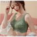 �u���W���[ ��������������u�� �m�����C���[ �t���J�b�v ������ ���� ���S�n �P�i �e�� �e�� ������ ���� ���[�X�u�� �傫���T�C�Y�Y�� 20��30��40��