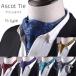  ascot tie scarf men's business new life stylish gentleman wedding Ascot scarf formal peiz Lee pattern ... Father's day present 