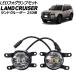 LED�t�H�O�����v �g���^ �����h�N���[�U�[250 250�n 2024�N04���` �C�G���[�~�z���C�g �����F1�Z�b�g(���E) AP-FL411-YEWH