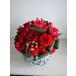 ���ԃA�����W���܂���ML���� �M�t�g �J�X�j �a���� ���� �����}�� ���� ���� ���� ���j�� �L�O�� �v���[���g ��̓� ���̓� �h�V�̓�