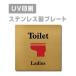 [Ladies toilet]W150mm×H150mm/W200mm×H200mm из нержавеющей стали наклейка тип автограф plate дверная табличка plate strs-prt-100