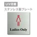 [Ladies Only]W150mm×H150mm/W200mm×H200mm нержавеющая сталь дверная табличка конференц-зал офис фирма длина .strs-prt-52