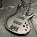 Ibanez BTB625EX IRON LABEL ( Ibanez железный этикетка 5 струна основа активный )[ три статья магазин ]