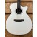 Vintage Guitars VEC1900WHS ( акустическая гитара akogi электроакустическая гитара )[ три статья магазин ]