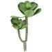  круг мир торговля поддельный растения H зеленый 400796501