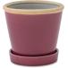 poshu living 30741g Rossi - pot black currant 13.5×13.5×13cm