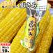  вы .. ..M размер 10шт.@( вакуум упаковка ) Aomori производство кукуруза кукуруза ... только ..dake Kimi .. прямая поставка от производителя скала дерево магазин 