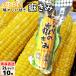  вы .. ..LL размер 10шт.@( вакуум упаковка ) Aomori производство кукуруза ... только .. кукуруза прямая поставка от производителя скала дерево магазин 