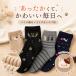 [4 пар комплект ]p non кошка рисунок носки носки теплый пирог ru плетеный RL48022 женский 22-25cm симпатичный кошка рисунок толстый осень-зима теплый холодозащитный салон носки 