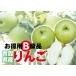 [B class goods *..*5kg(5 kilo )* cardboard .].. equipped * Aomori prefecture production blue apple 