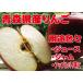 [A класса товар * солнечный ...*3kg( kilo )* картон .] Aomori префектура производство 