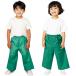 ARTECa- Tec движение .* презентация * Event костюм * мода * движение . костюм основа J брюки зеленый товар номер 1951 ваш заказ 