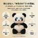 �y���z�����z�ʂ������ ai �d�q�y�b�g �d�����{�b�g �ʂ������ ChatGPT���� AI��b ������ׂ胍�{�b�g 66����Ή� �p�� �q�� Type-C�[�d �A�v���A�g 2�N�ۏ� �֘A�摜2