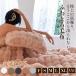 �ѕz �ӂ�Ƃ�ѕz ���������ѕz �u�����P�b�g �ӂ�ӂ� �V���O�� �Z�~�_�u�� �_�u�� �n�[�t �􂦂� ����� �ӂ���� �Ђ��|�� �G�|�� �ѕz 2