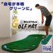  Golf короткая клюшка коврик салон тренировка для основной зеленый проект многофункциональный отверстие короткая клюшка тренировка коврик растояние чувство person направление . концентрация сила улучшение звукоизоляция газонная трава повторный на данный момент дом тренировка коврик Golf 