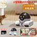 �h�ƃJ���� �ƒ�p �����J���� AI�ړ��� wifi ���� �L�p �h�[���^ 200����f �ƒ�p �Ɩ��p WIFI �Ď��J���� ���C�����X �X�}�z �t��HD ����� �y�b�g �x�r�[