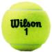  Wilson WRT100101W CMPSHIP EXTRA DUTY 3 Kei li бейсбол теннис мяч 