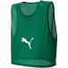 PUMA Puma футбол одежда bib s энергия зеленый XXS 920605 02