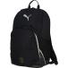 PUMA( Puma ) футбол мелкие вещи TEAMFINAL рюкзак II 35L черный 091599 01