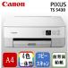 CANON TS5430WH белый PIXUS A4 струйный многофункциональная машина ( копирование / сканер )