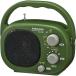  ом электро- машина RAD-H395N AudioComm AM/FM. произведение радио 