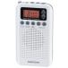  ом электро- машина RAD-P350N-W белый AudioComm DSP тонкий радио 