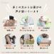 �y���K�㗝�X�zCLEMIRA athlete �N���~�� �A�X���[�g�@�y�v���[���g�t�z�񂩂牺����X�g���b�v(�F�͑I�ׂ܂���) �֘A�摜5