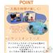 �T�����I �����_�� �o�X�{�[�� 5�_�Z�b�g �L�����N�^�[ ���� �l�ߍ��킹 ���� �o�X�{�� �L�b�Y �������� ������ �j�̎q ���̎q �����C �֘A�摜2