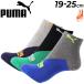 �v�[�} �L�b�Y �C�� 3���g �W���j�A �q�ǂ� �j�̎q 19-25cm PUMA �V���[�g�� 3P�\�b�N�X 3���Z�b�g �q���p ���L���H ������ �^�� �X�|�[�c �w�Z �ʊw /4293127