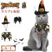  домашнее животное костюм собака одежда кошка одежда Halloween Рождество маскарадный костюм костюм домашнее животное одежда легкий симпатичный модный фотография фотосъемка "дышит" прогулка выход простой установка и снятие шляпа . прикрепленный 